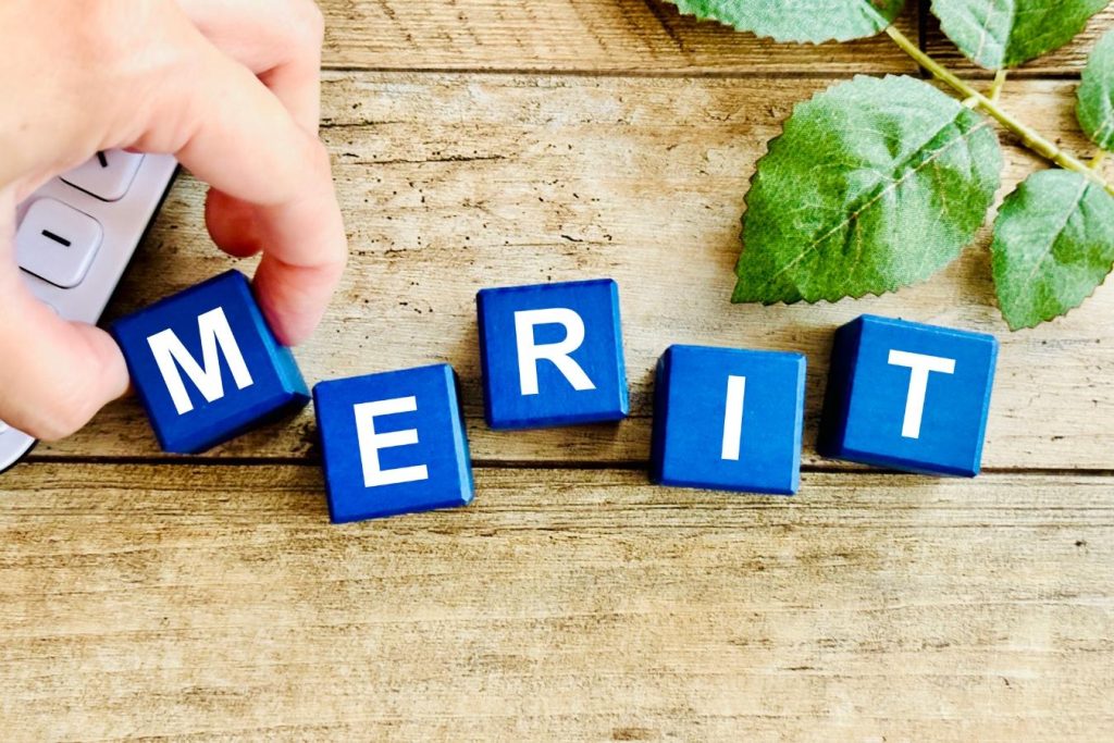 「MERIT」と書かれた青のブロック